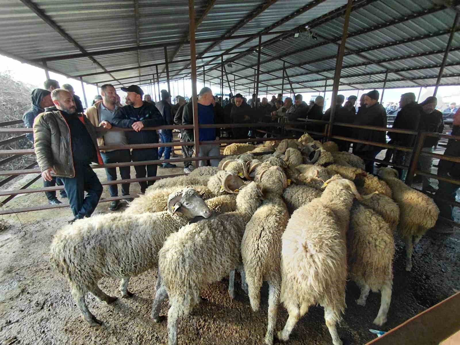 boluda kurban pazarlarinda hareketlilik basladi 1 BnnksMiq
