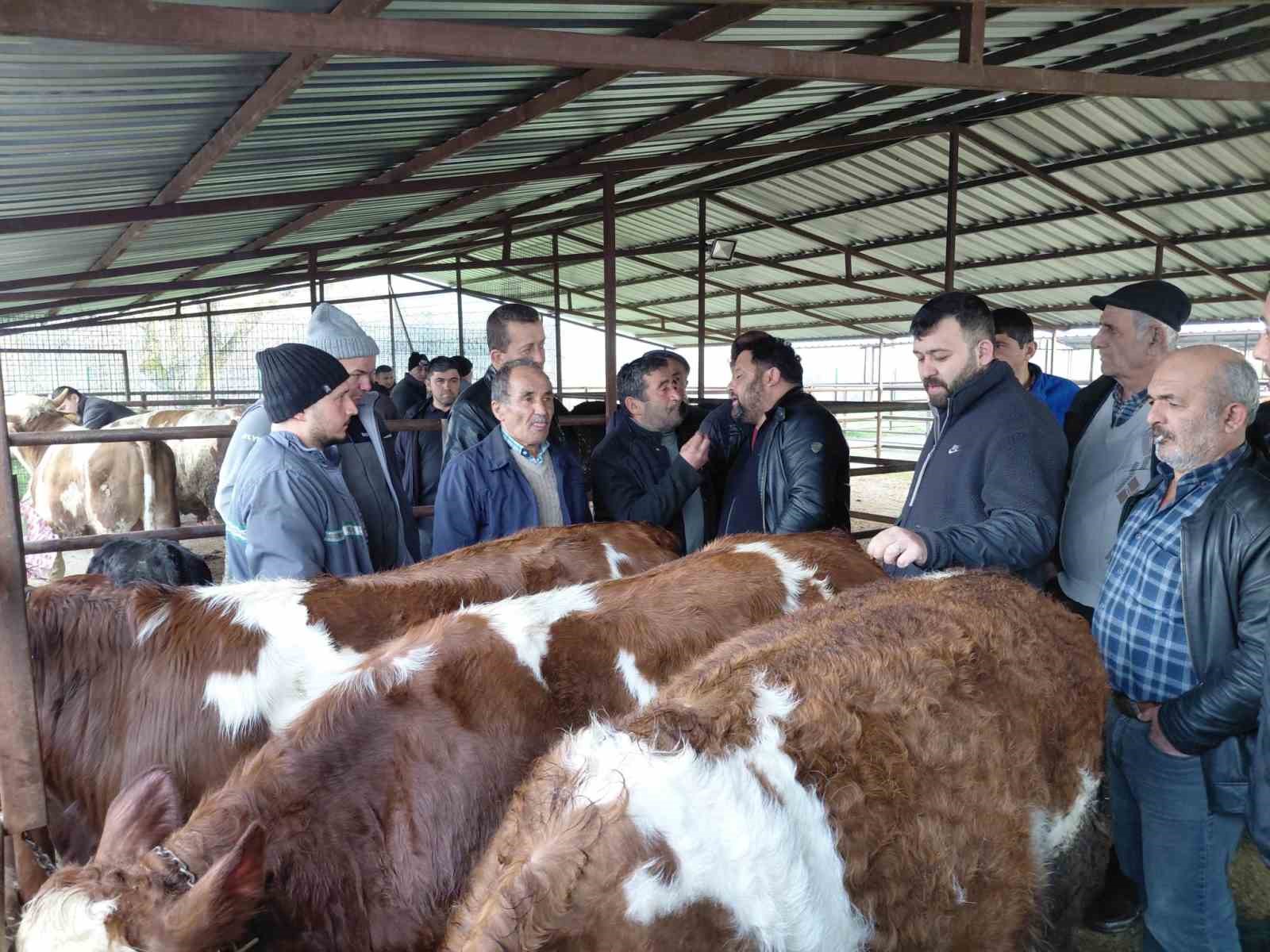 boluda kurban pazarlarinda hareketlilik basladi 2 tVHvz5dU