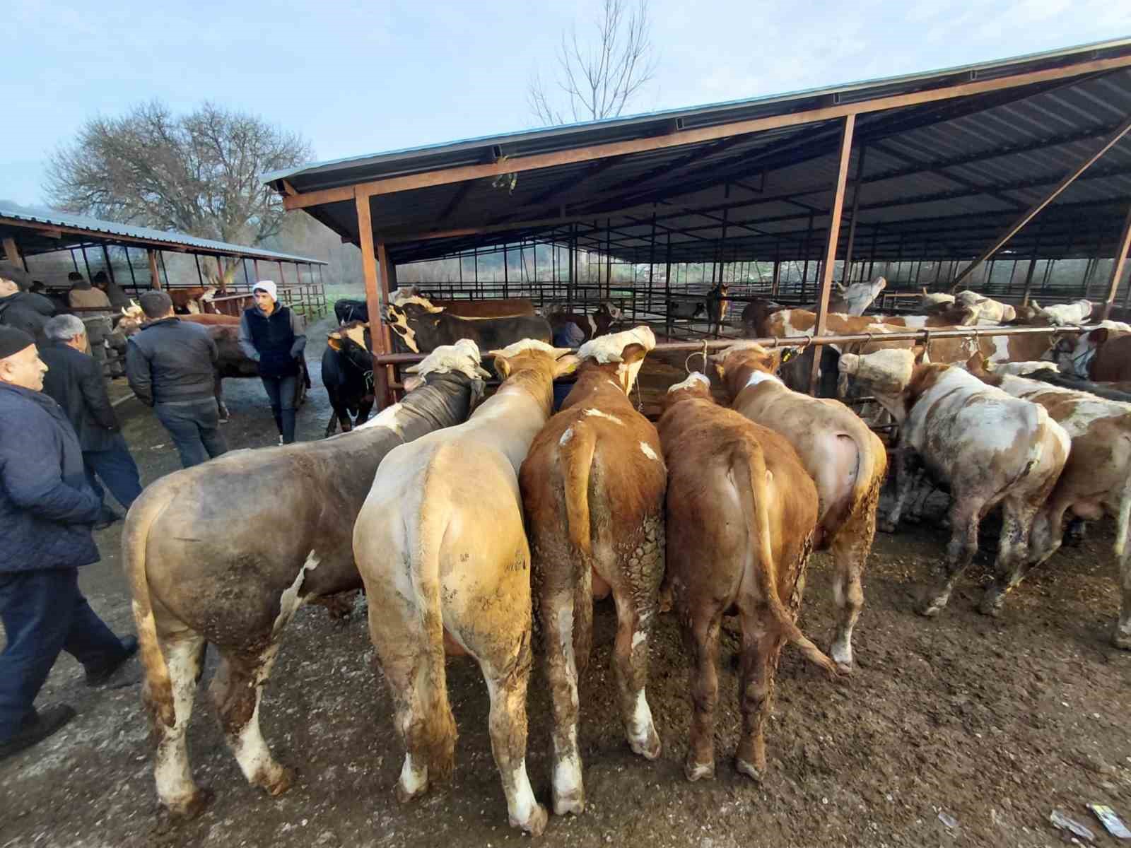 boluda kurban pazarlarinda hareketlilik basladi 3 hNsKlW7s