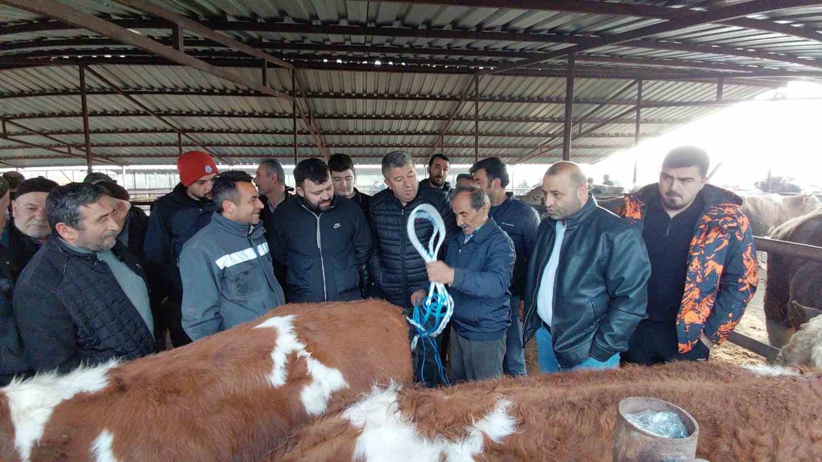 boluda kurban pazarlarinda hareketlilik basladi 6 mQqVFlwz