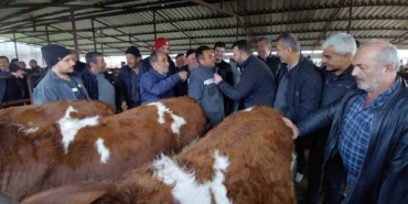 boluda-kurban-pazarlarinda-hareketlilik-basladi-HRZwRdal.jpg