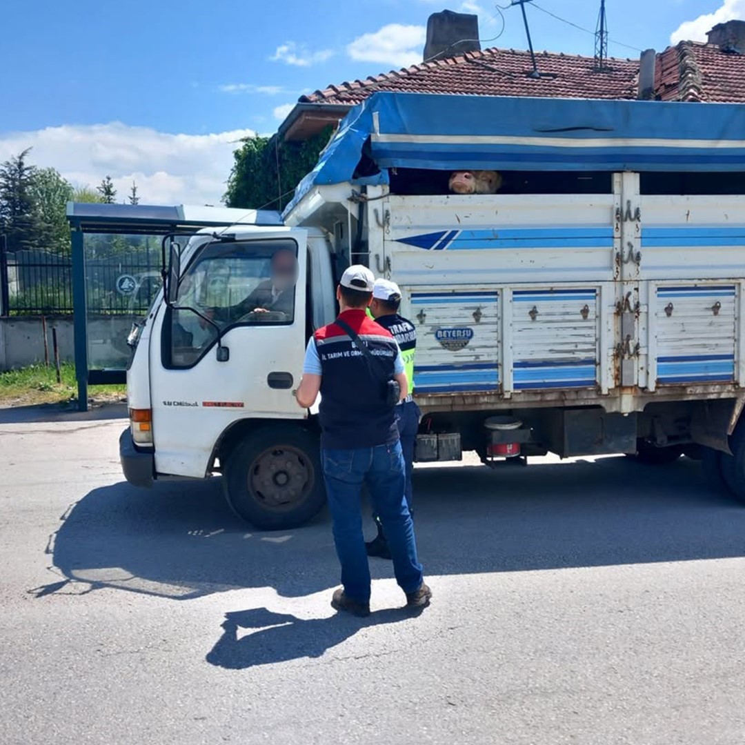 boluda kurbanlik nakil araclari kontrol edildi 0 D3mCPI11