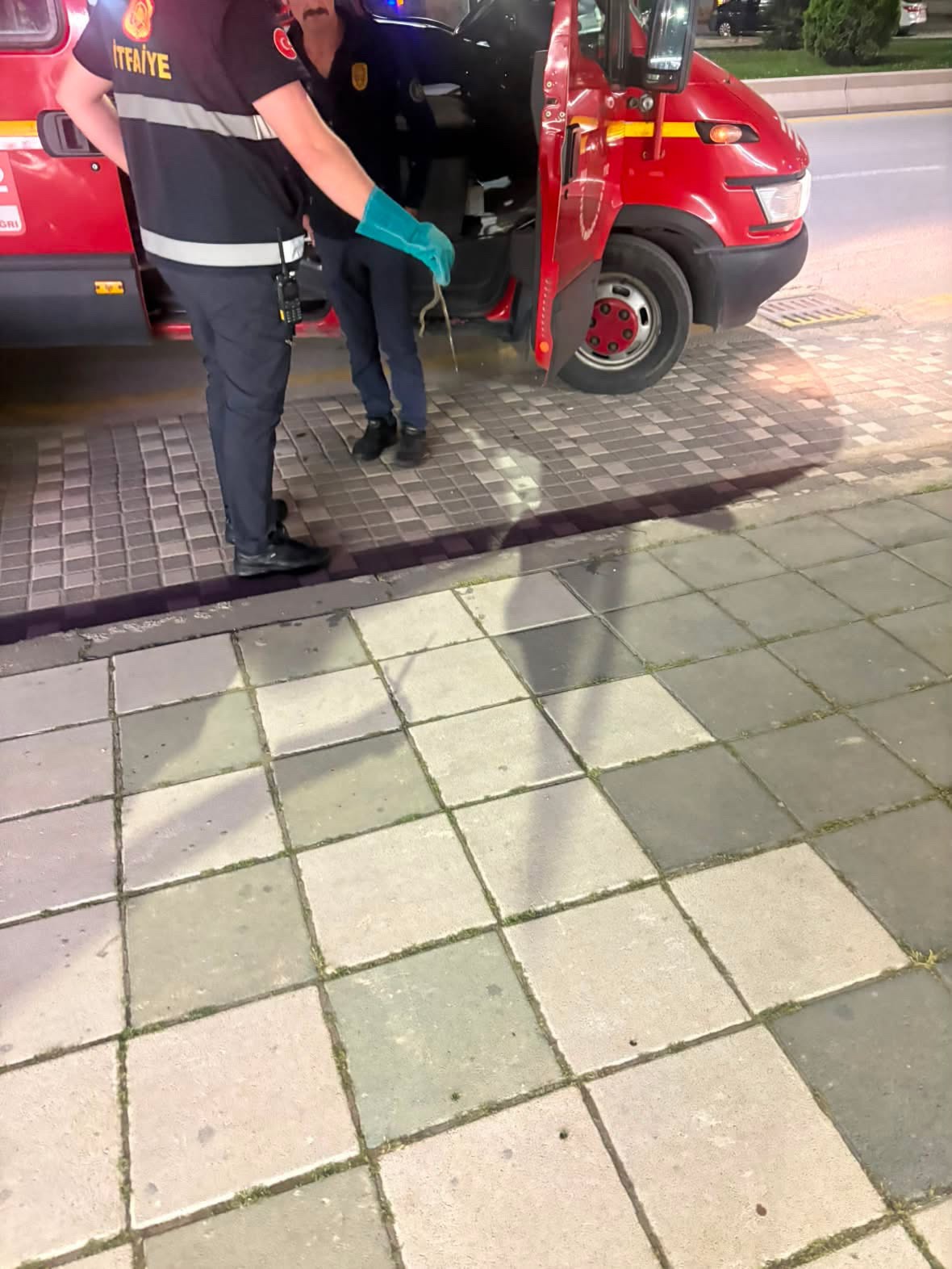 Bolu’da markette yılan paniği: "Şaka sandım" 5 boluda markette yilan panigi saka sandim 1