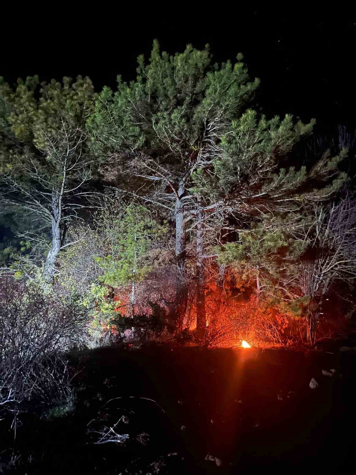 boluda ormanlik alanda yangin cikti 3 3Lg7mZfn