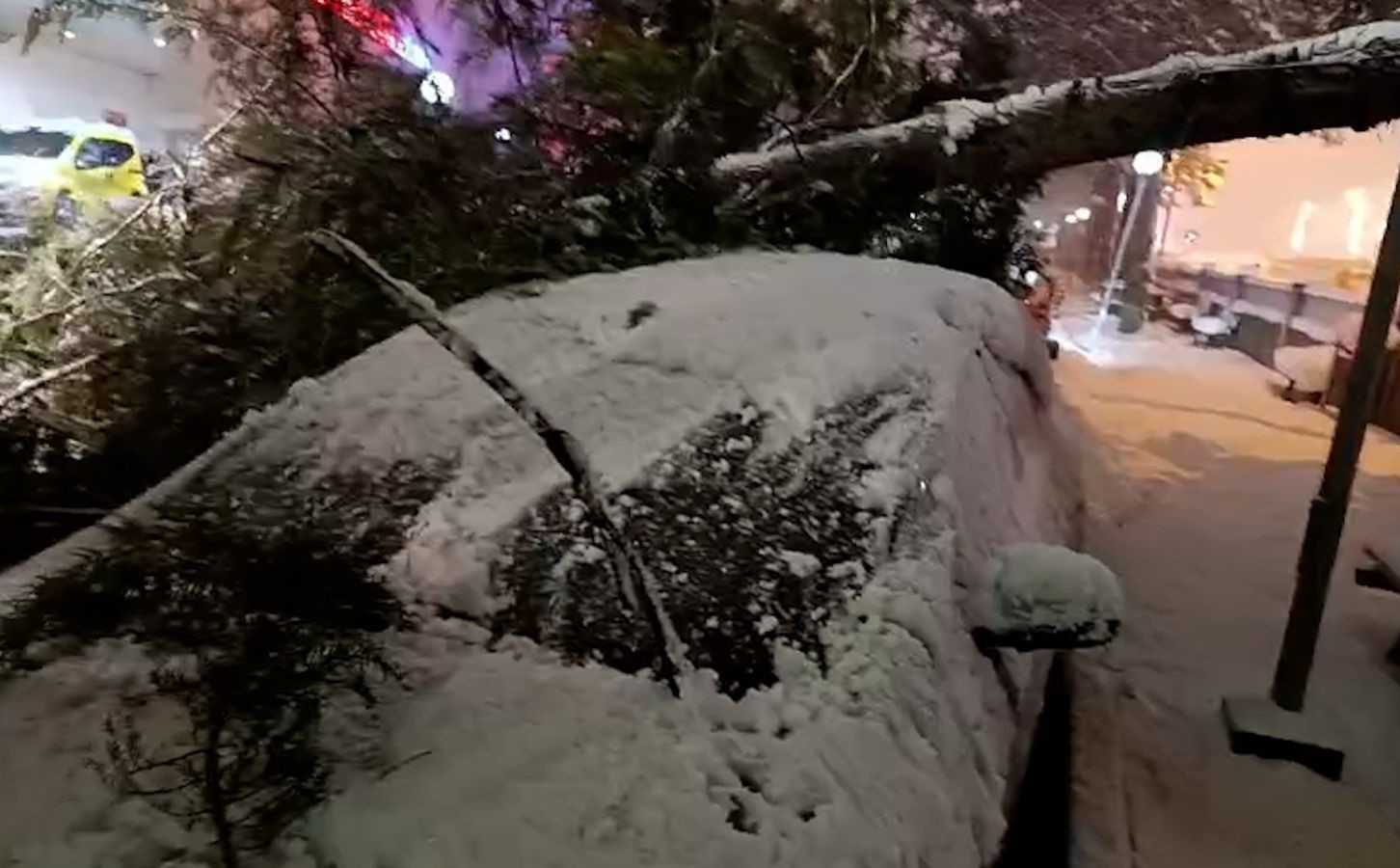 boluda park halindeki araclarin uzerine agac devrildi 1 rlbutNja