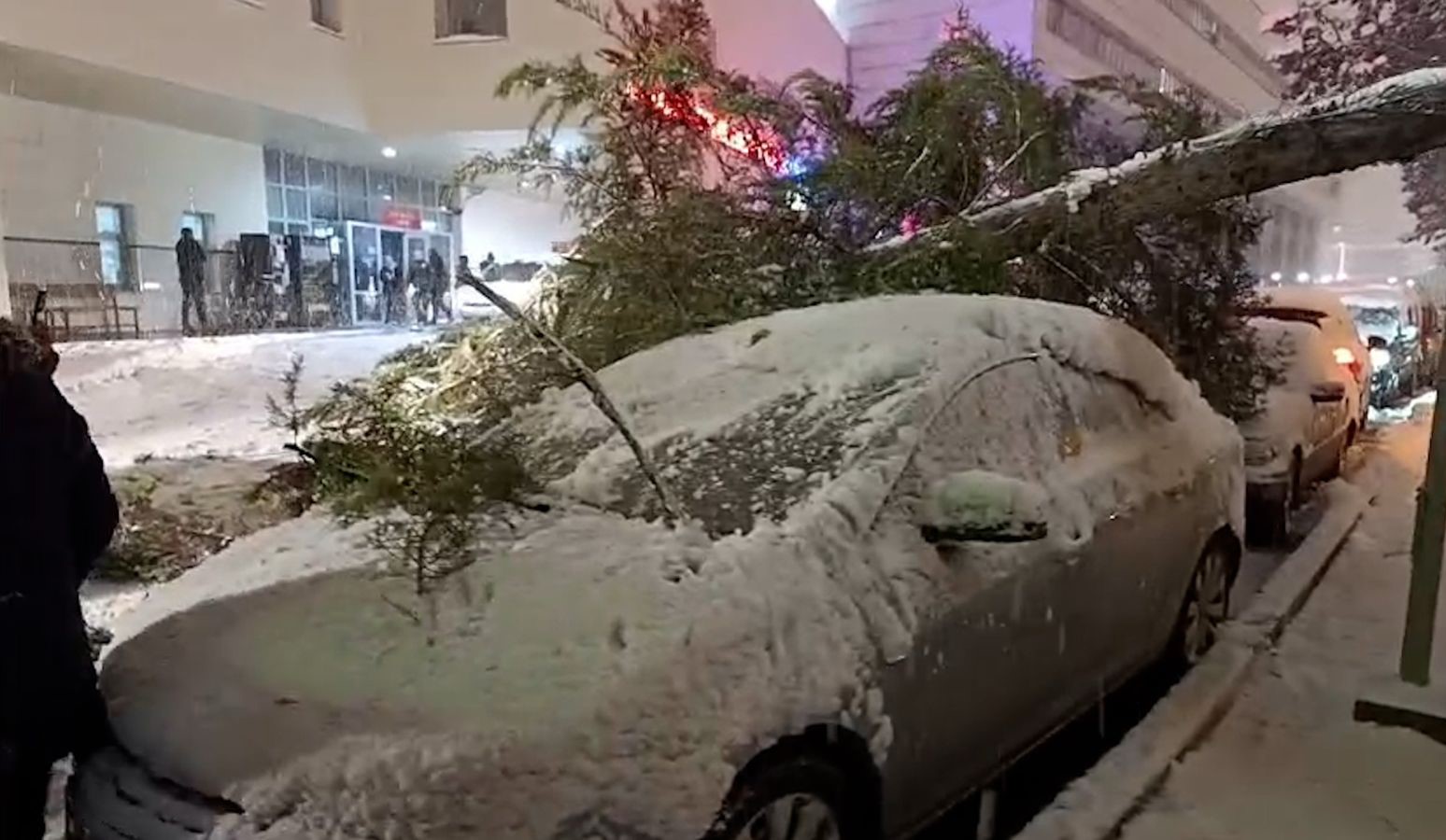 boluda park halindeki araclarin uzerine agac devrildi 2 3eILTm2J