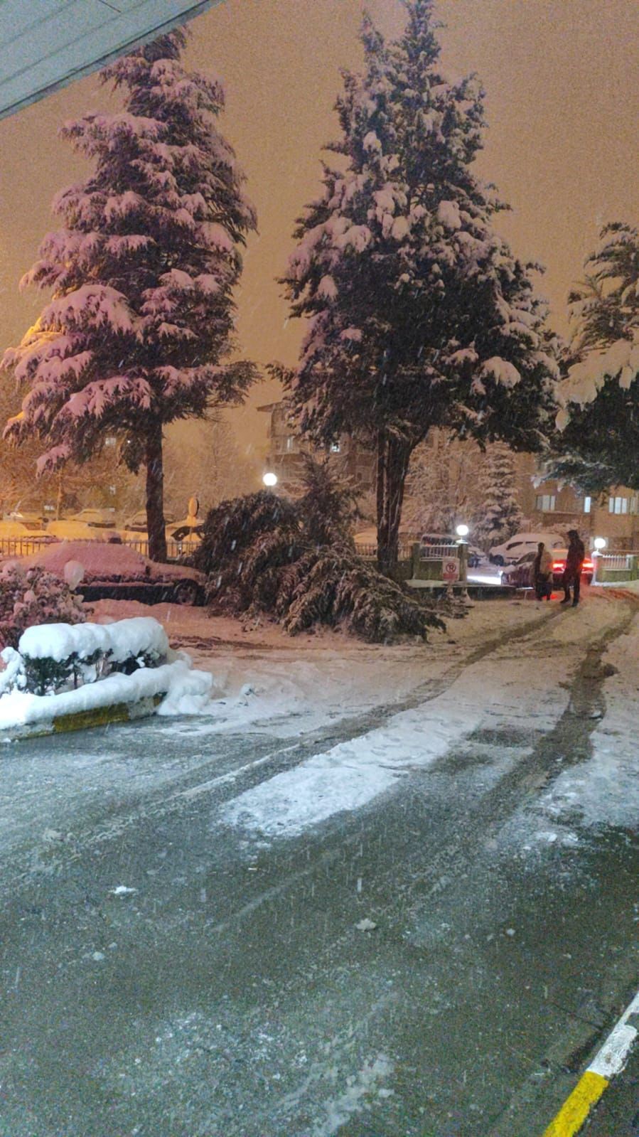 boluda park halindeki araclarin uzerine agac devrildi 3 uPehgicX