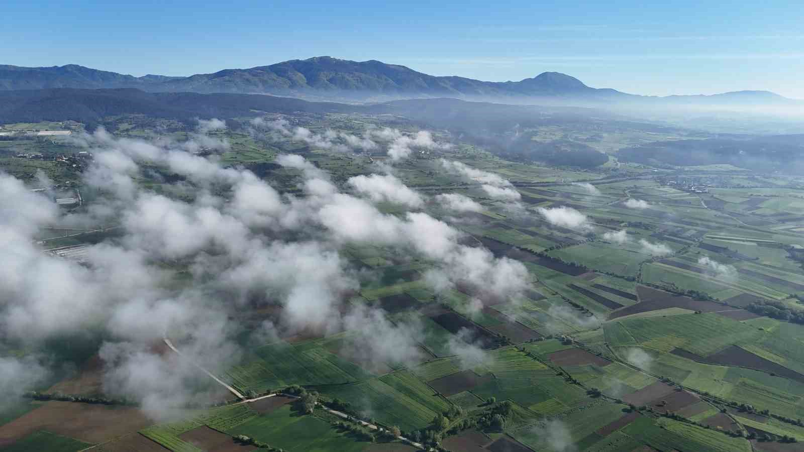 boluda sis tabakasi gorsel solen sundu 6 4vTSpW6V