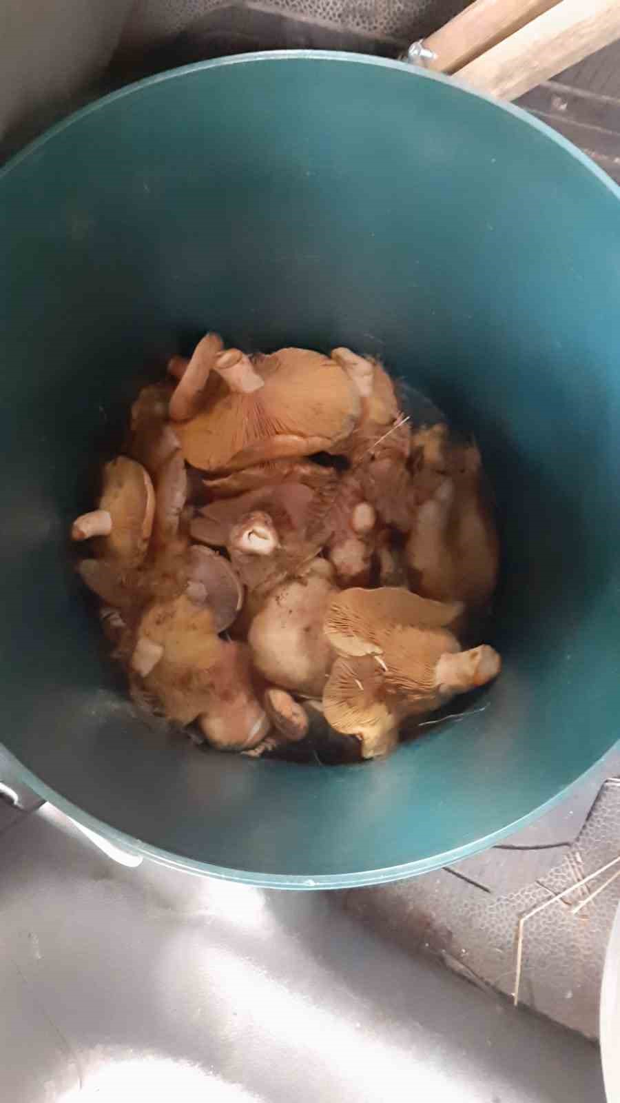 Bolu’da topladığı mantarları yiyen bir kişi zehirlendi 6 boluda topladigi mantarlari yiyen bir kisi zehirlendi 2 AkUXhwjd