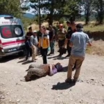 boluda-traktorden-dusen-2-kisi-yaralandi-rm1FBTW5.jpg