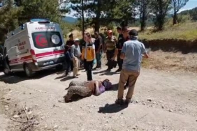 Bebek kaçırma iddiasıyla gözaltına alınan kadın adliyeye sevk edildi 1 thumbnail