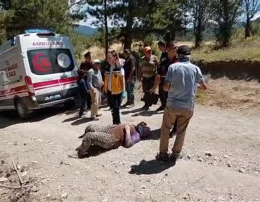 boluda-traktorden-dusen-2-kisi-yaralandi-rm1FBTW5.jpg