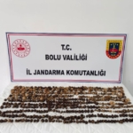 boluda-yabani-salep-toplayan-3-kisiye-rekor-ceza-2-milyon-97-bin-tl-hQaTWcsp.jpg