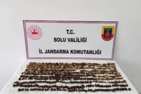 boluda-yabani-salep-toplayan-3-kisiye-rekor-ceza-2-milyon-97-bin-tl-hQaTWcsp.jpg