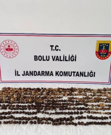 boluda-yabani-salep-toplayan-3-kisiye-rekor-ceza-2-milyon-97-bin-tl-hQaTWcsp.jpg