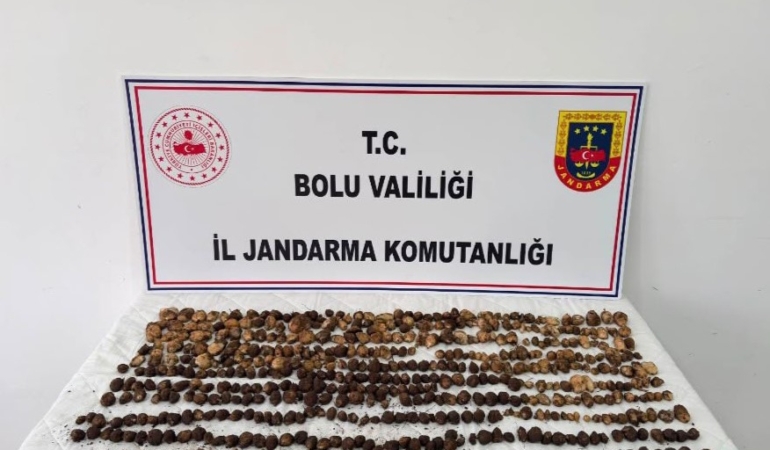 boluda-yabani-salep-toplayan-3-kisiye-rekor-ceza-2-milyon-97-bin-tl-hQaTWcsp.jpg
