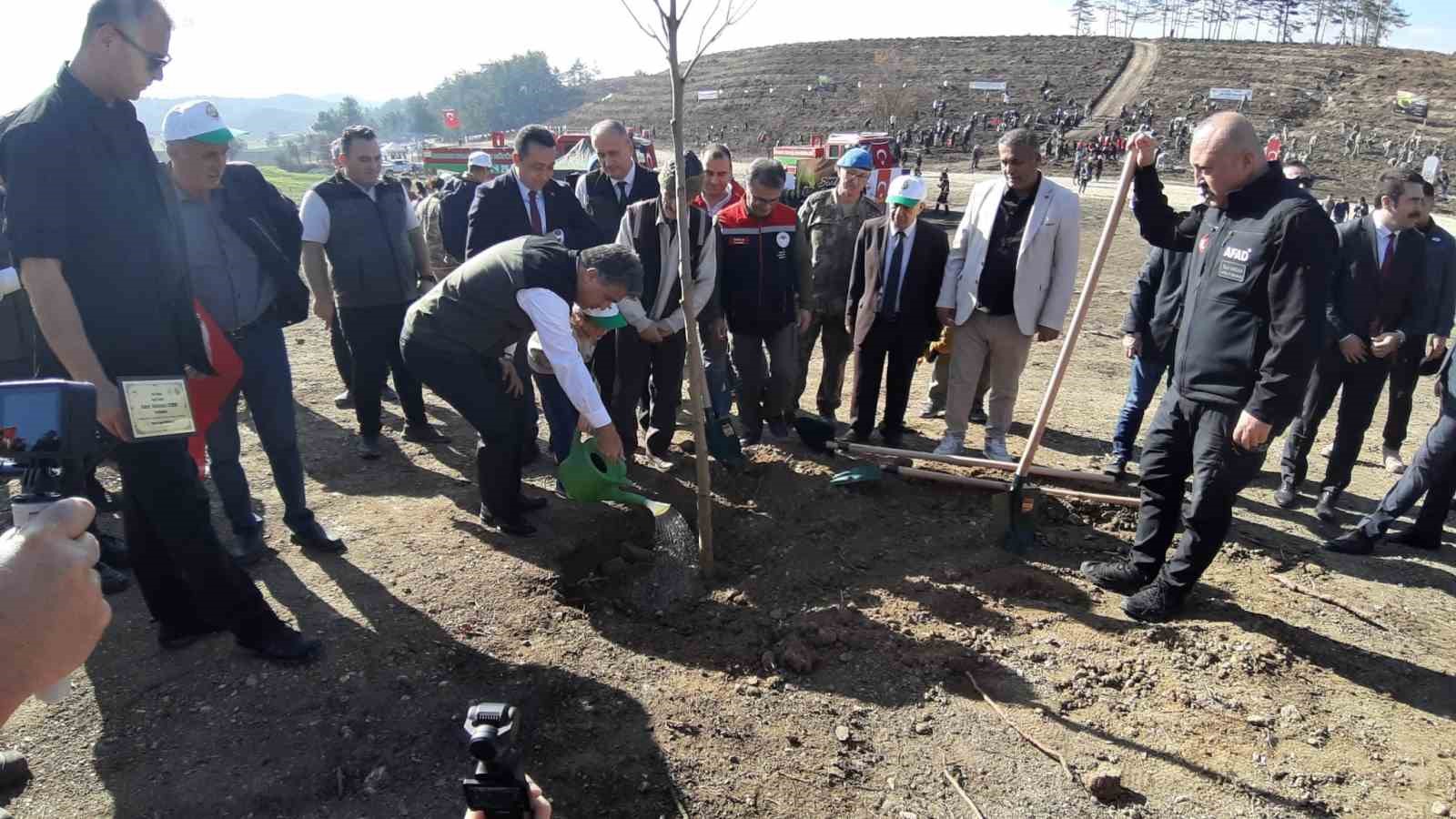 boluda yanan orman yeniden yeseriyor 0