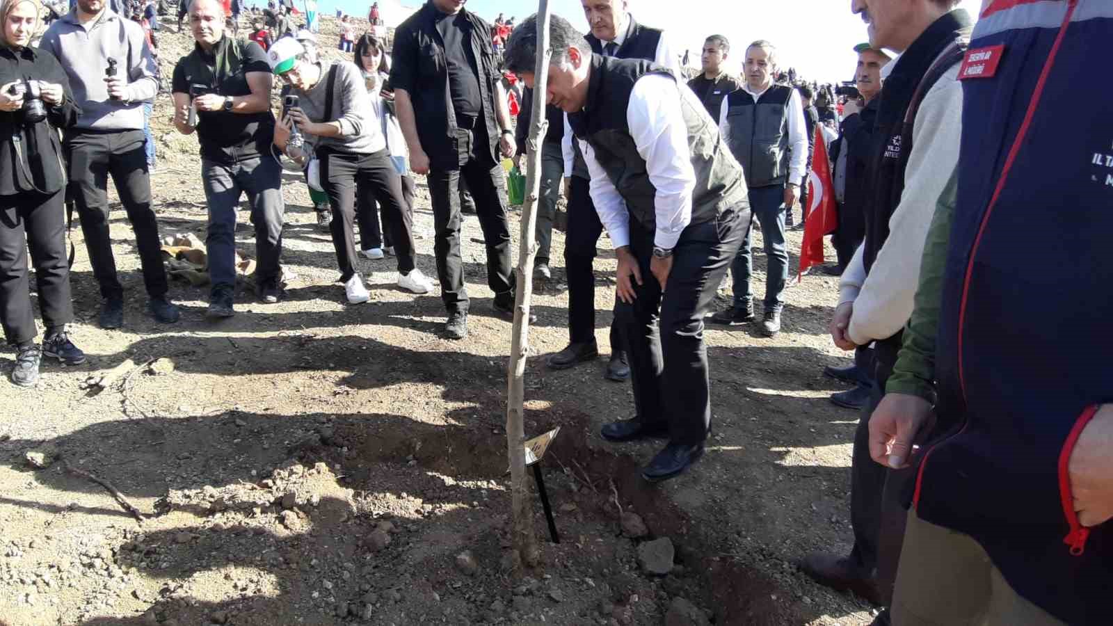 boluda yanan orman yeniden yeseriyor 2 tG9LssHI