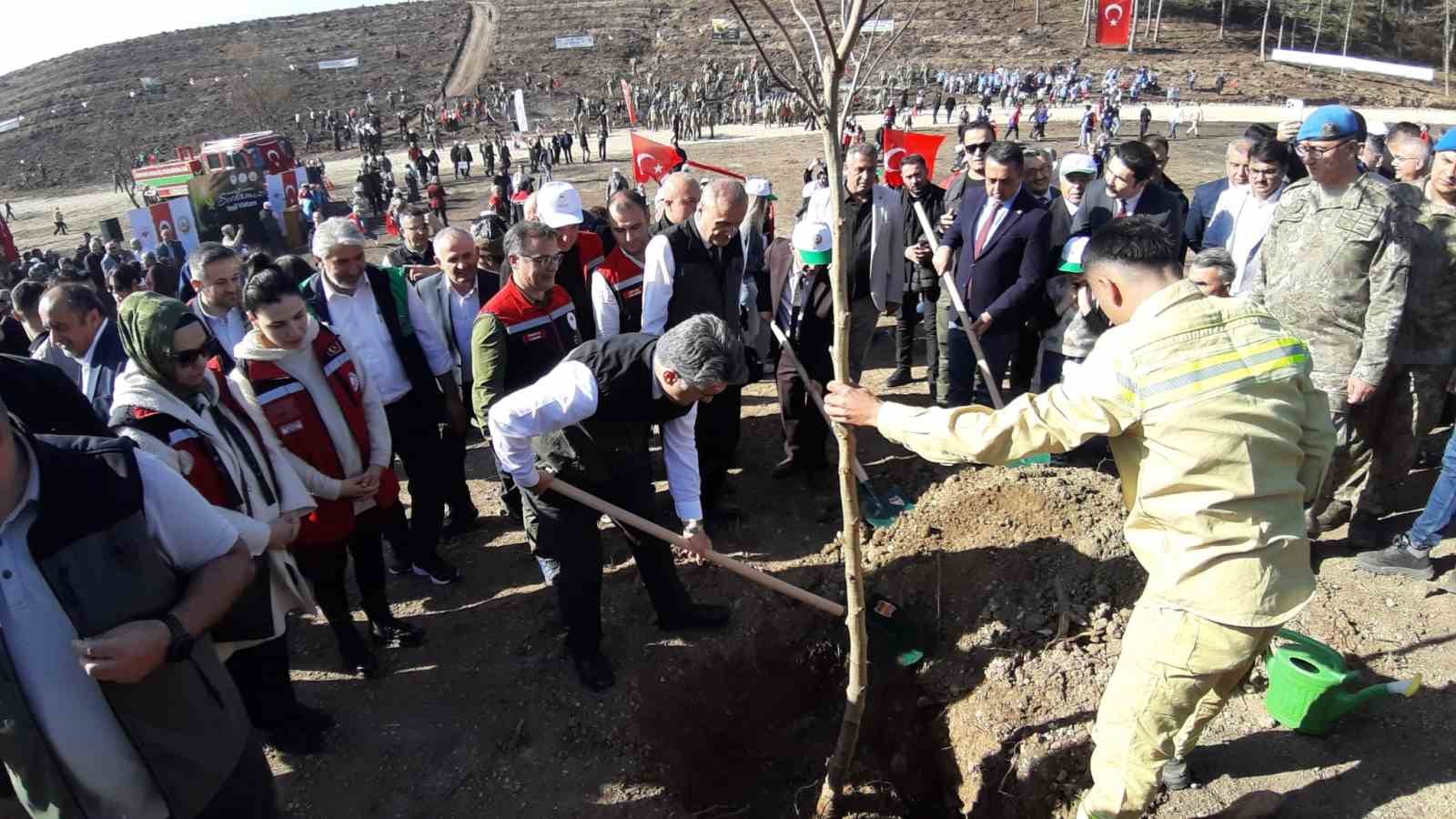 boluda yanan orman yeniden yeseriyor 5