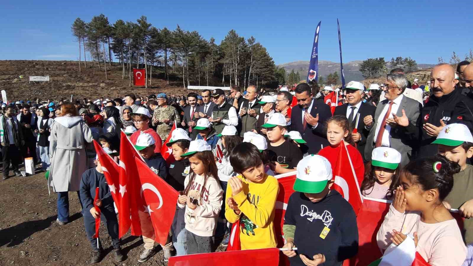 boluda yanan orman yeniden yeseriyor 6 Gu8uGVe7