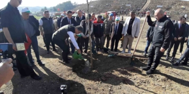 boluda-yanan-orman-yeniden-yeseriyor-QhUswes8.jpg