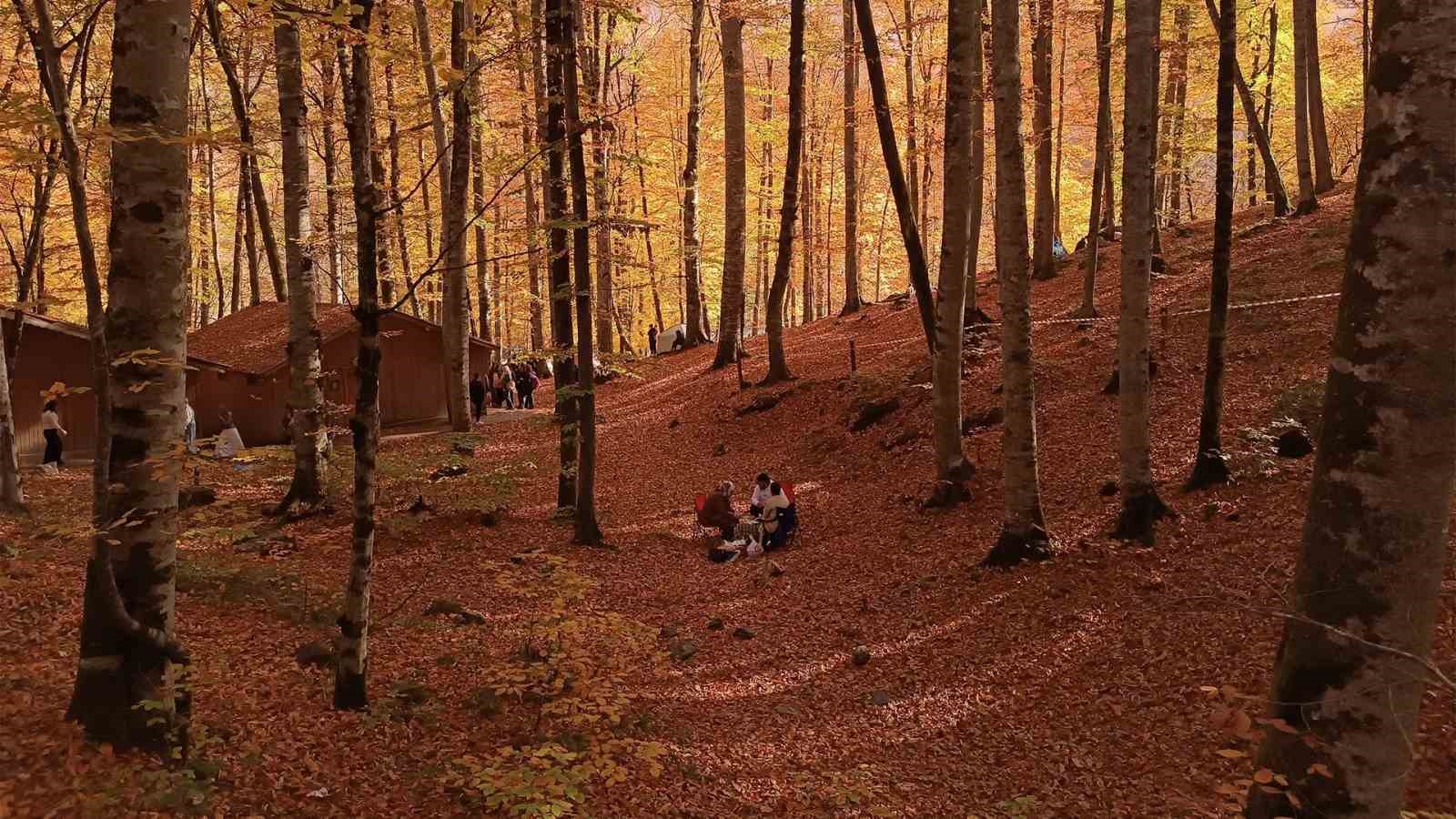 bolunun doga harikalarina artik randevulu sistemle girilecek 1 tXn1RBJa