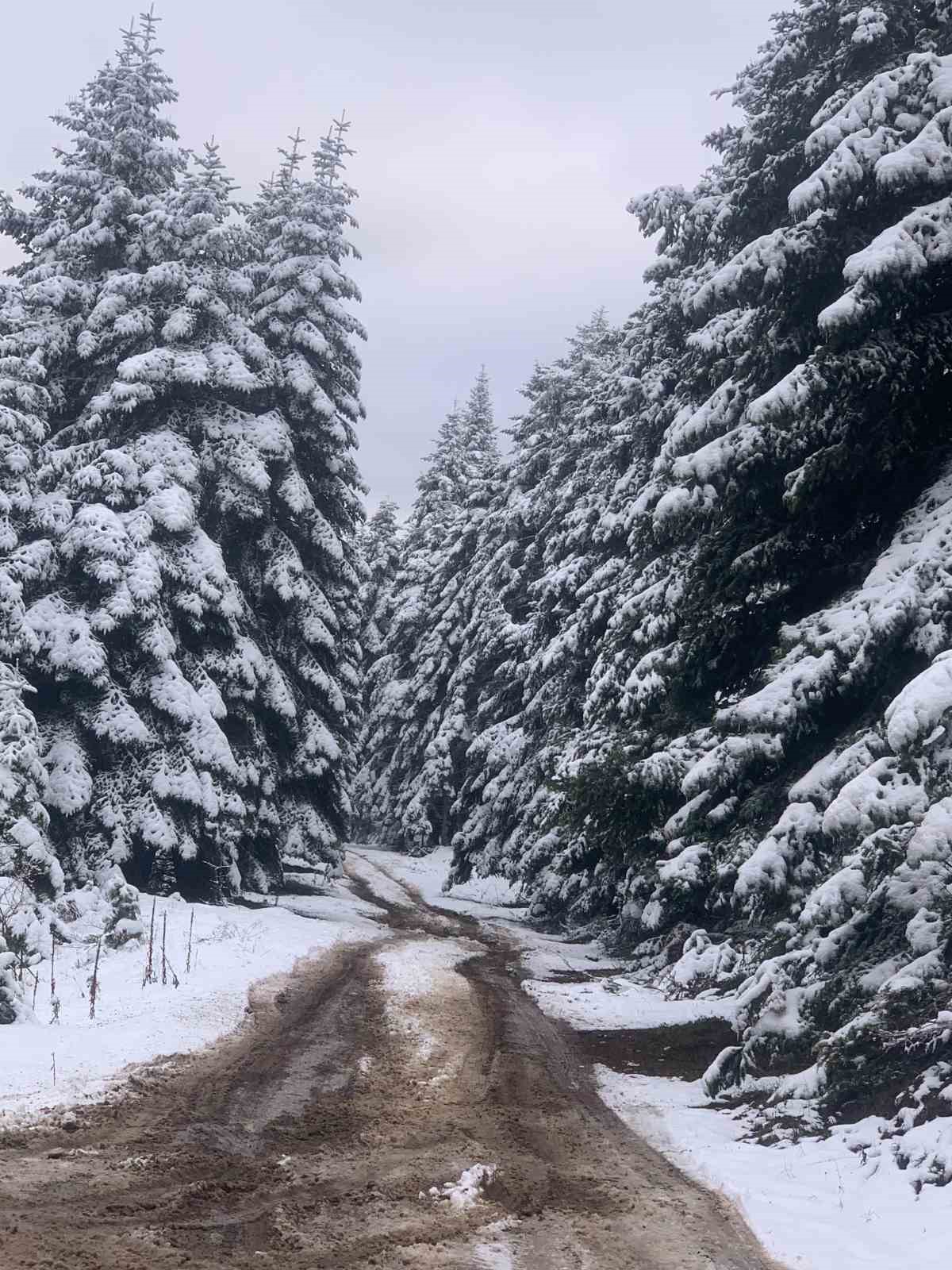 bolunun yukseklerinde kar kalinligi 10 santimetreye ulasti 4 jvfYW9Qr