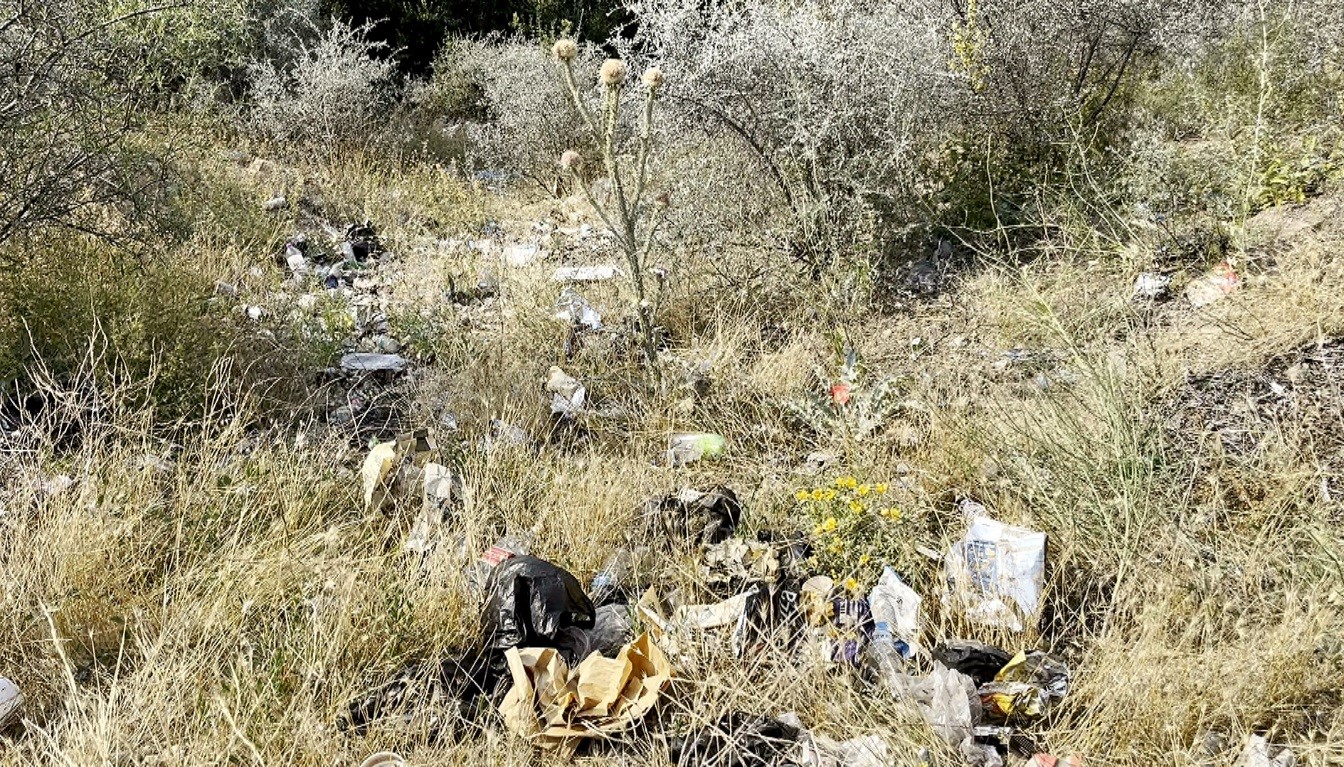 bos cop konteynerinin etrafinin atiklarla kaplandigini goren profesorden sert tepki 1 NpsnVJFD