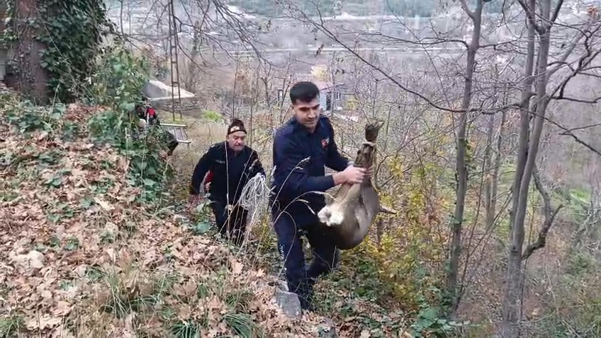 bos havuza dusen yavru karacayi itfaiyeciler kurtardi 4 iYu2O43M