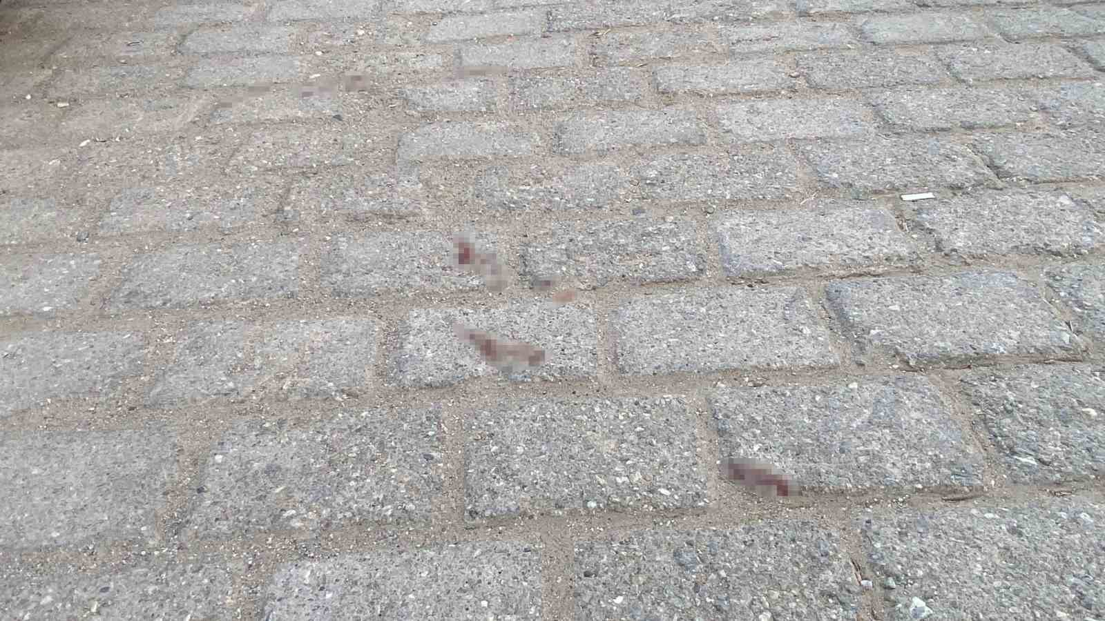 Boşanma aşamasındaki damat, kayınpederi tarafından tüfekle vuruldu 5 bosanma asamasindaki damat kayinpederi tarafindan tufekle vuruldu 1