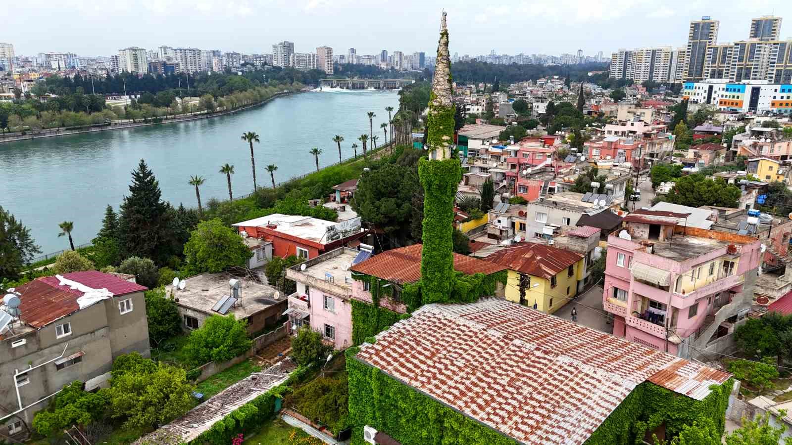 botanik bahceyi andiran cami yeniden sarmasiklarina kavustu 1 dKjjhgqS