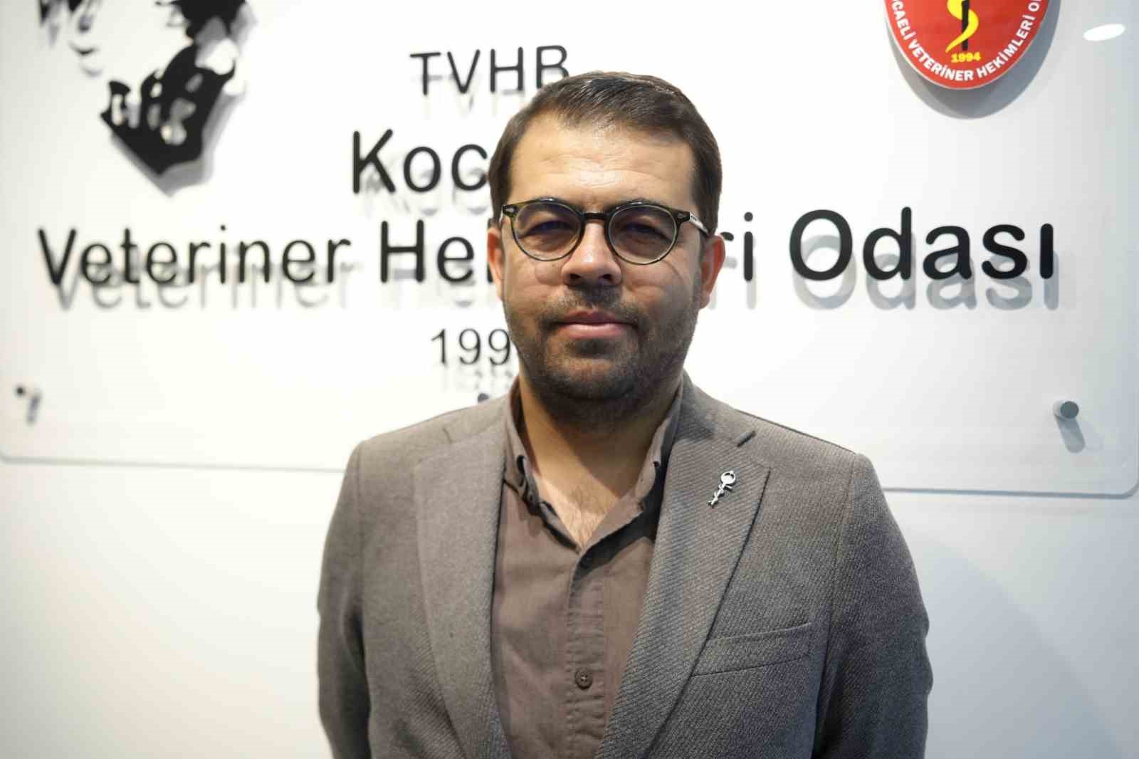 boyali kopekler merak uyandirdi 1 uLrCHOcp