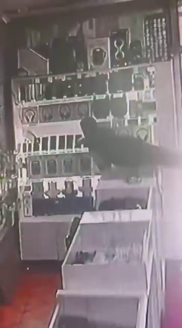 boyle hirsizlik gorulmedi masanin ustune cikip vitrindeki telefonlari alarak kacti 3 G2SXdkVA
