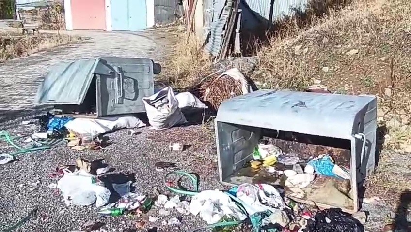 boz ayilar yedigolleri savas alanina cevirdi 0 2ENTtKpc