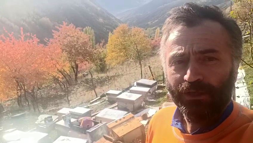 boz ayilar yedigolleri savas alanina cevirdi 1 ED3qcmZj