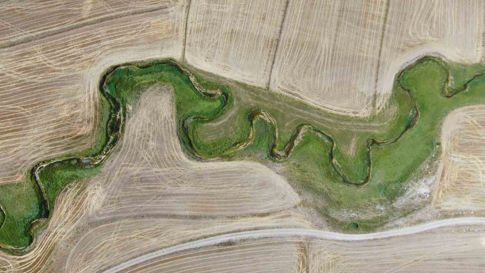bozkirda nadir gorulen menderes islah oncesi dron ile goruntulendi 1 VsOi5ueV