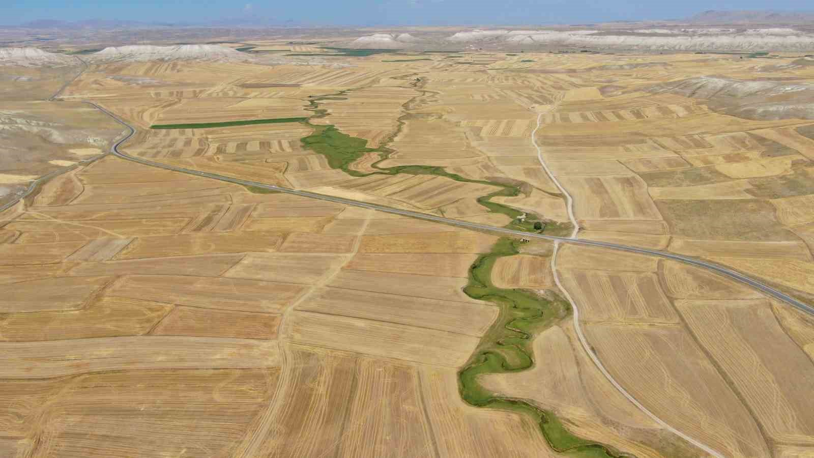 bozkirda nadir gorulen menderes islah oncesi dron ile goruntulendi 3 N5EukRG6