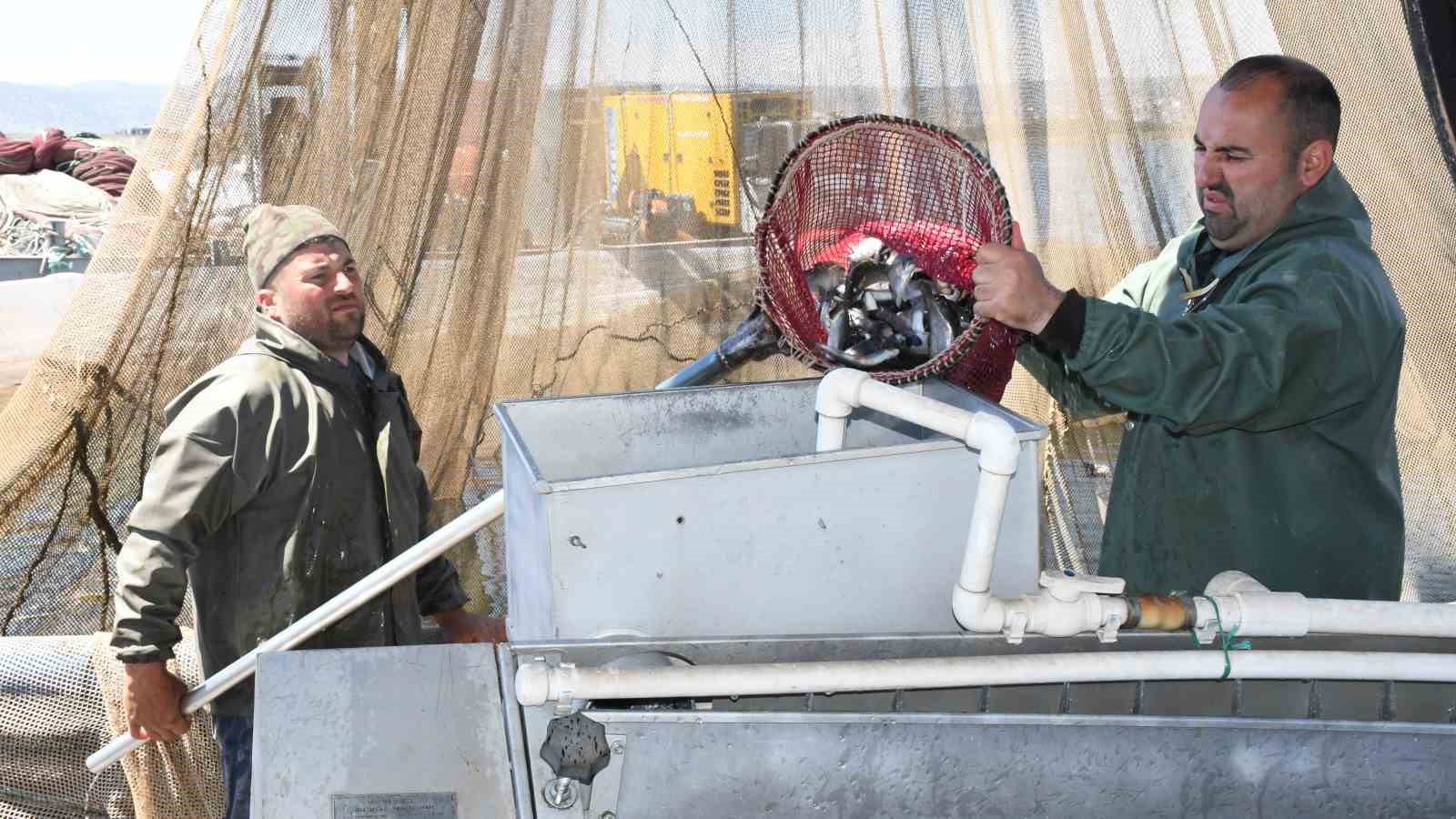 bozkirdan dunyaya uzanan somon yolculugu basladi 2 XPLJevZl