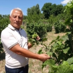bozkirin-ortasinda-findik-yetistirdi-m3AuOFeL.jpg