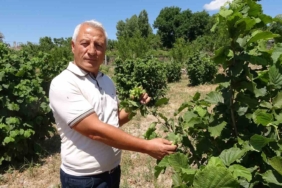 bozkirin-ortasinda-findik-yetistirdi-m3AuOFeL.jpg
