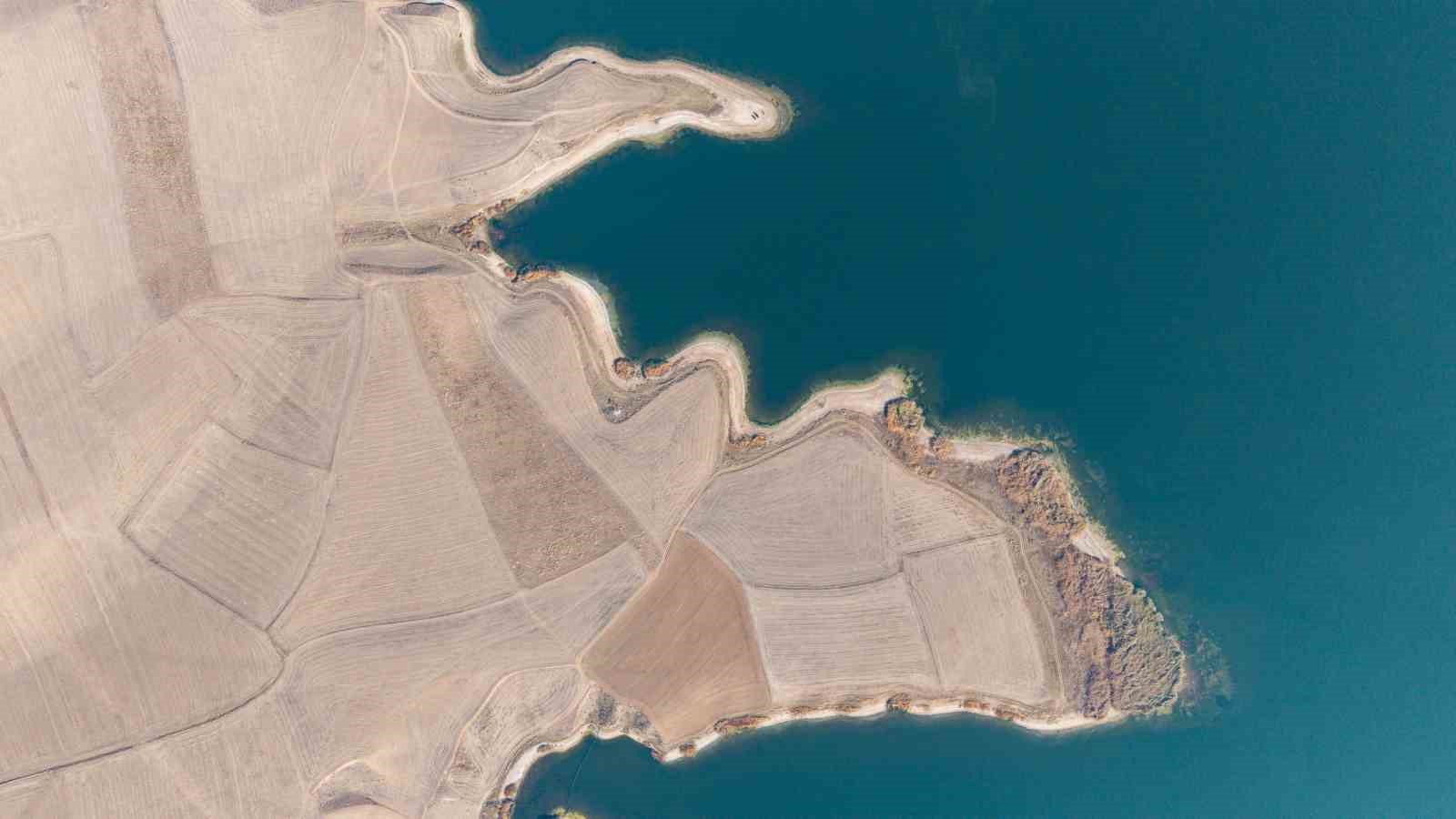 bozkirin ortasinda mest eden mavi 5 l8AFI3L1
