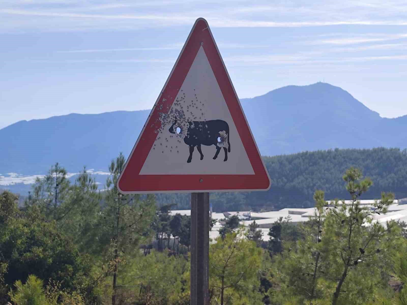 bozyazi yayla yolunda trafik levhalarina kursunlu saldiri 1 yjKGPzM8