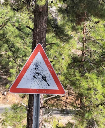 bozyazi-yayla-yolunda-trafik-levhalarina-kursunlu-saldiri-x1dw7Dzj.jpg