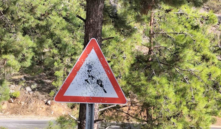 bozyazi-yayla-yolunda-trafik-levhalarina-kursunlu-saldiri-x1dw7Dzj.jpg