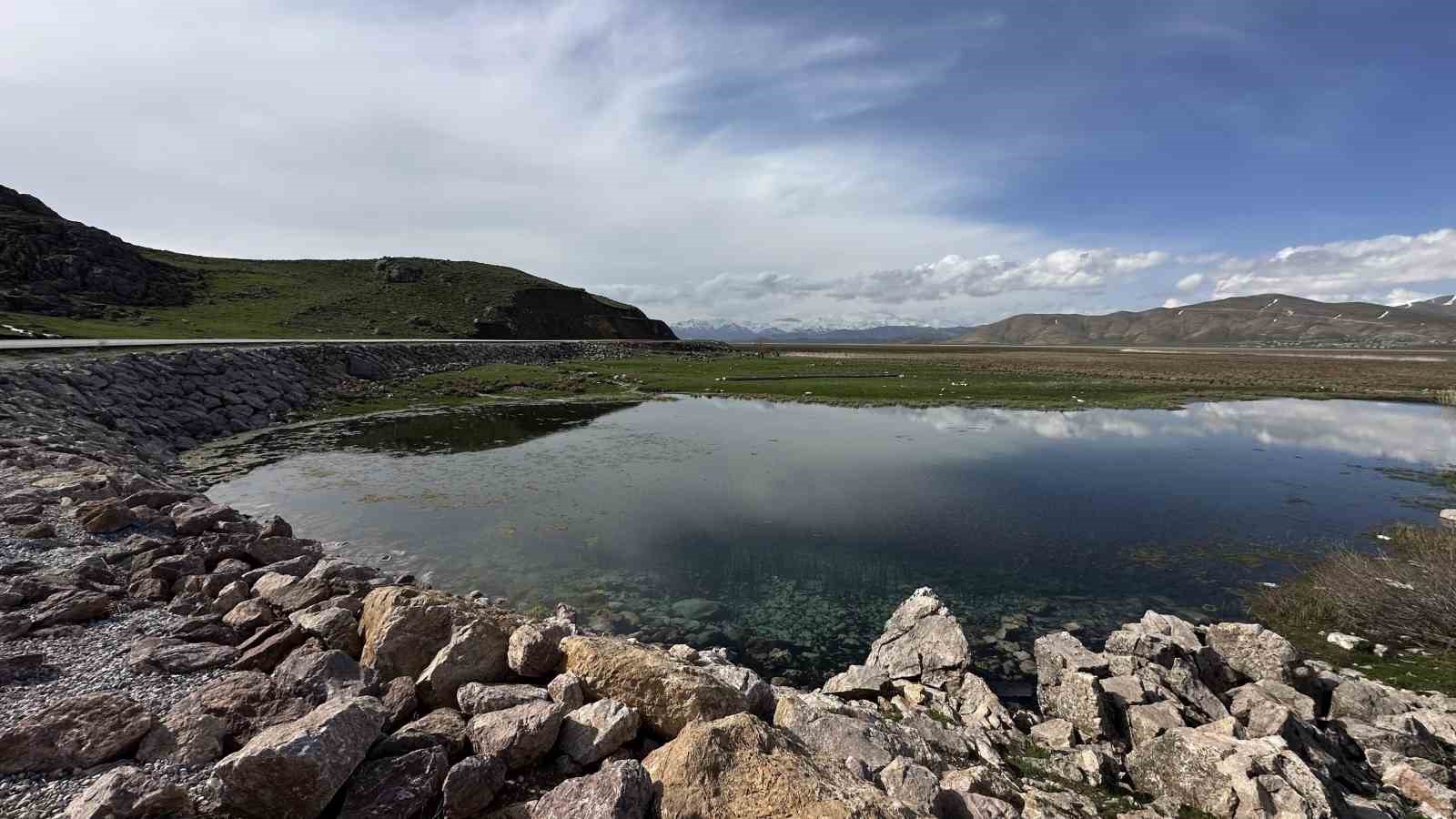brezilyanin yilan adasi degil yuksekova 13