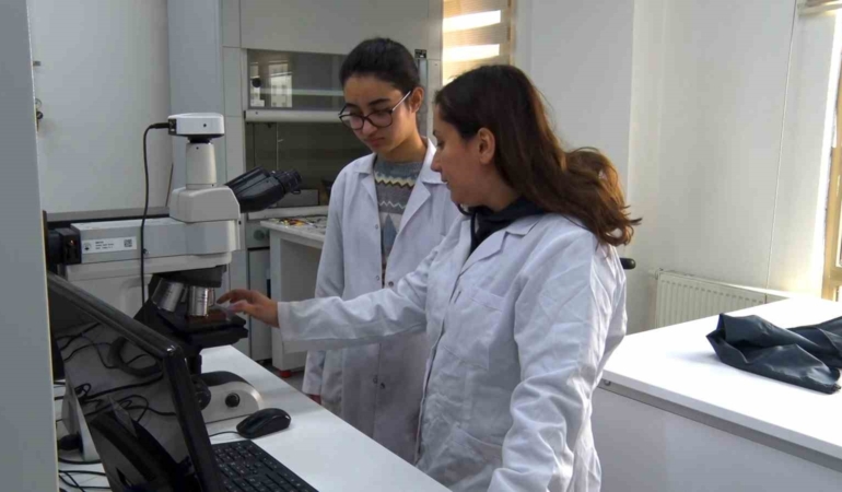 btuden-turkiyede-bir-ilk-lise-ogrencileri-bir-ay-boyunca-universiteli-oldu-WdxtHQmH.jpg