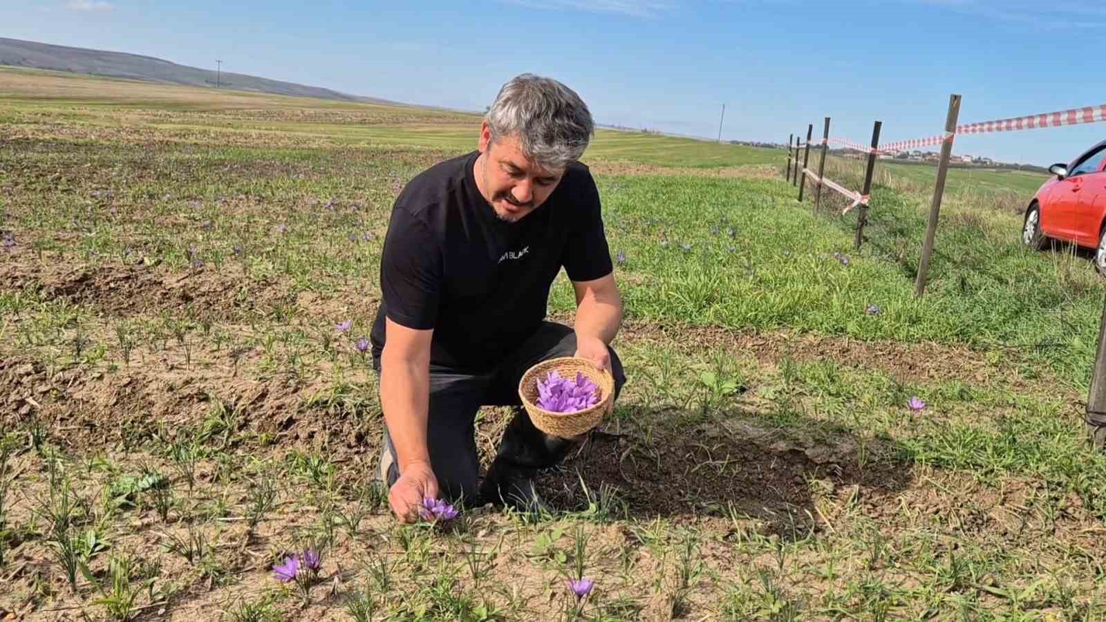 Bu baharatın kilosu 600 bin TL: Topraktan servet fışkırıyor 6 bu baharatin kilosu 600 bin tl topraktan servet fiskiriyor 2 UCcTr2ti