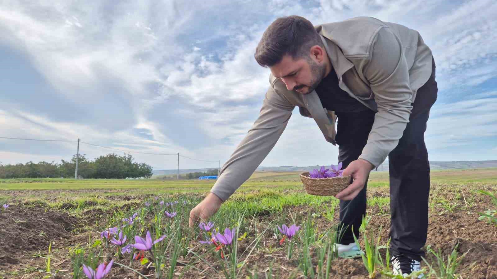 Bu baharatın kilosu 600 bin TL: Topraktan servet fışkırıyor 8 bu baharatin kilosu 600 bin tl topraktan servet fiskiriyor 4 IB7jKvpb