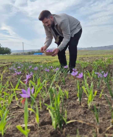 bu-baharatin-kilosu-600-bin-tl-topraktan-servet-fiskiriyor-E2rID5Gj.jpg