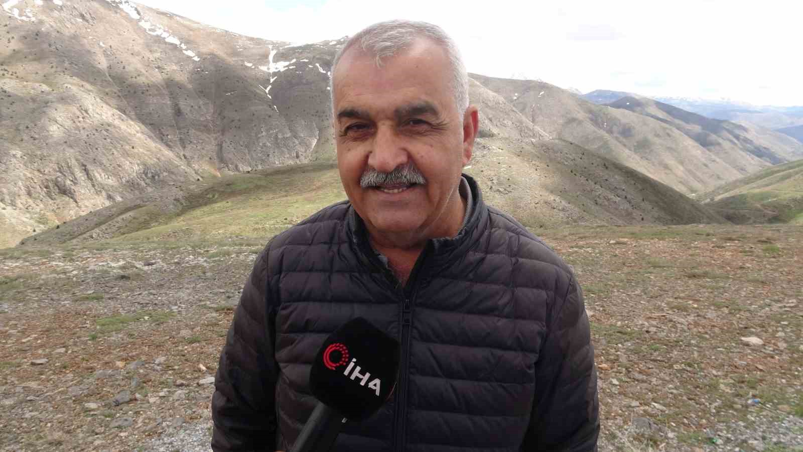 bu bitkiyi koparana 699 bin tl ceza veriliyor 3 9ptsbHdq
